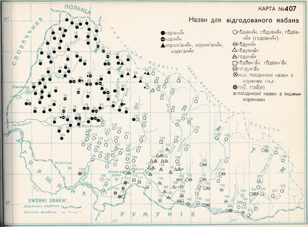 #407 Веперь-годувник